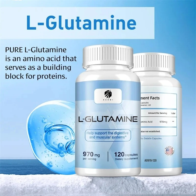 Nutrition Fitness Supplements - Supplément L-Glutamine pour l'entraînement, la récupération