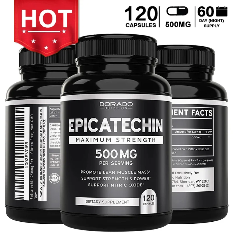 Pre Workout Supplement - Supplément d'extrait d'épicatechin, 500 mg -