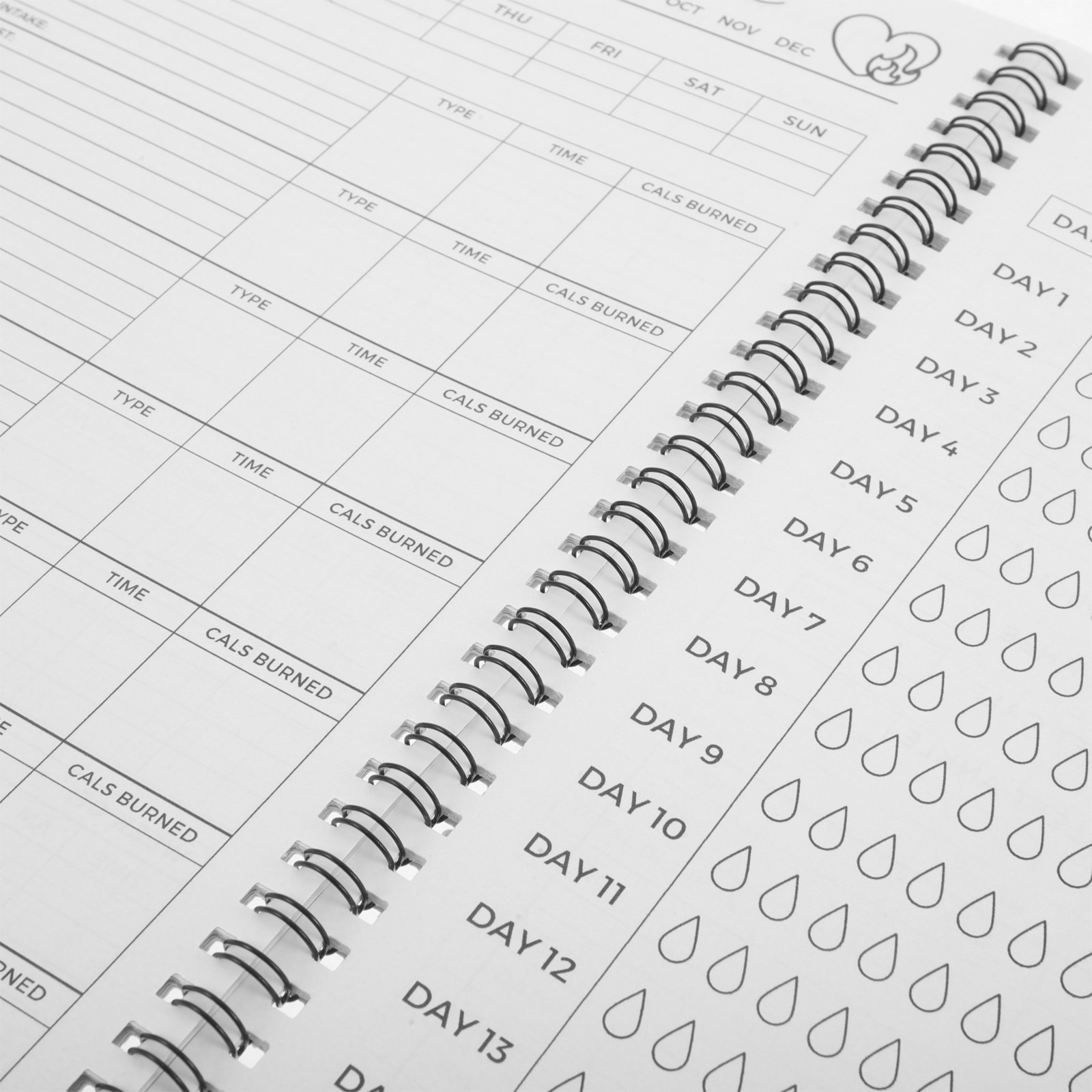 Journal de suivi des entraînem - Nutrition Fitness Supplements avis et prix