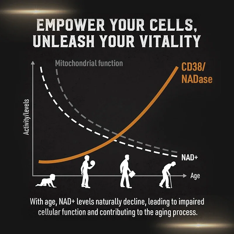 Complément Liposomal NAD - Sou - Pre Workout Supplement avis et prix